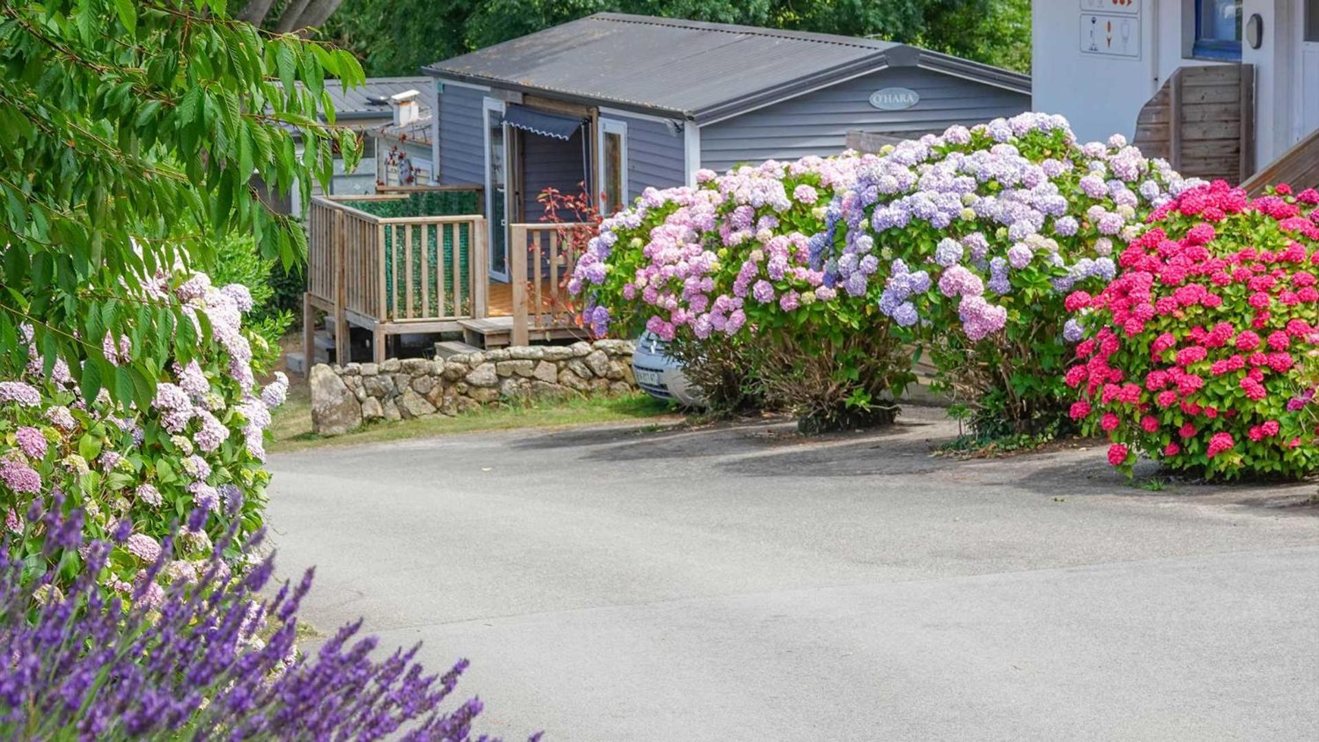 Camping Le Dolmen, Carnac, Morbihan Luaran gambar