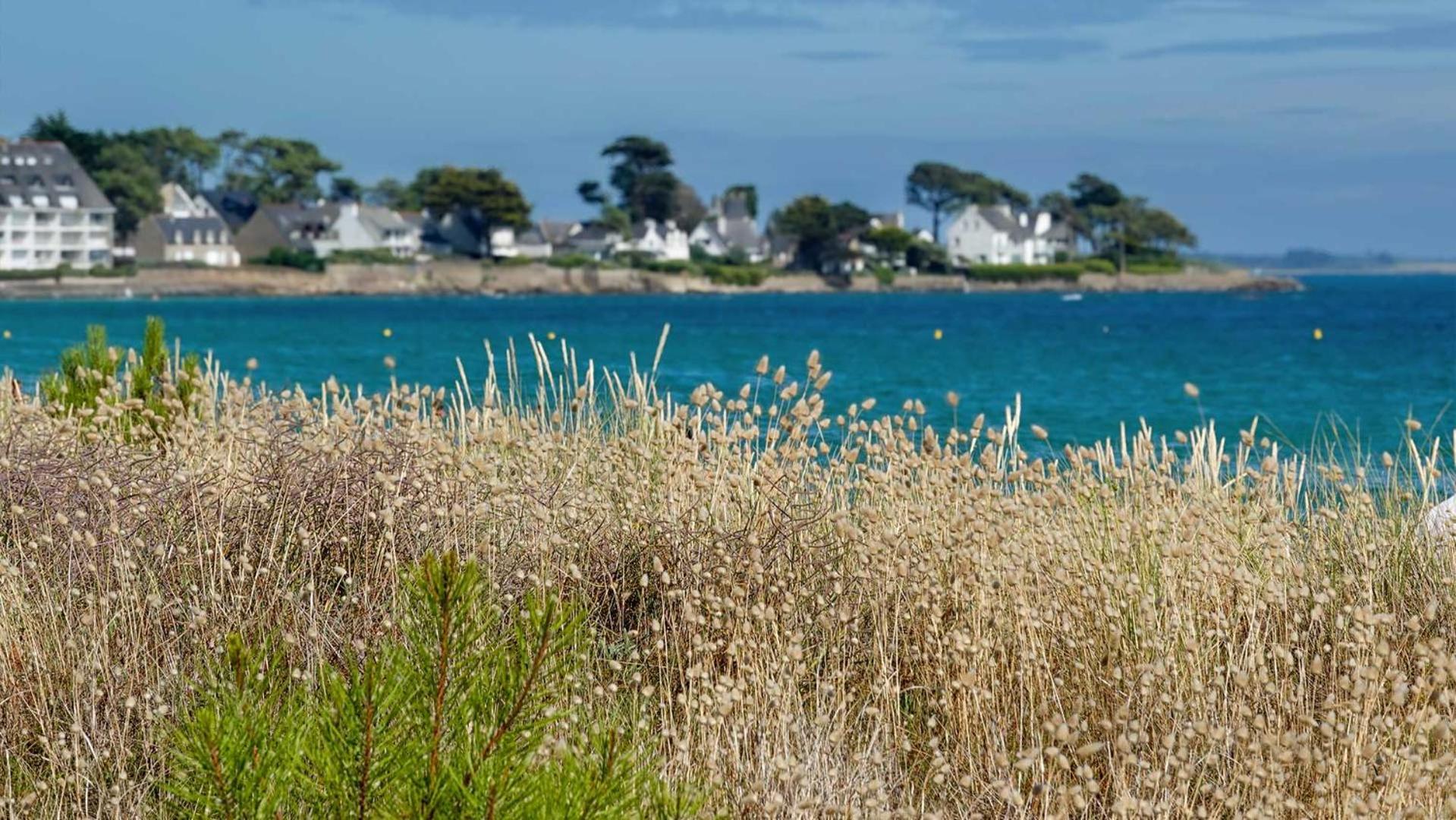 Camping Le Dolmen, Carnac, Morbihan Luaran gambar